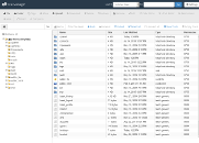 Use the File Manager feature in your cPanel to maintain your website.